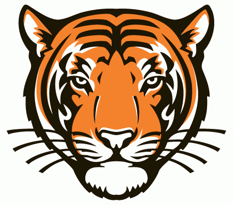 Princeton Tigers 2003-Pres Alternate Logo iron on transfers for clothing
